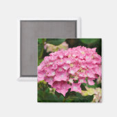 Aimant Fleurs d'hydrangée rose (Recto/Verso)