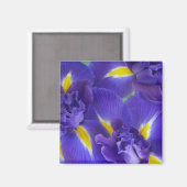 Aimant Fleurs d'Iris (Recto/Verso)