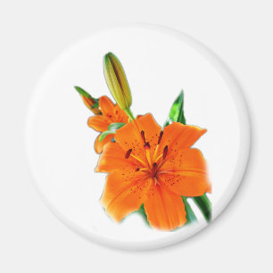 Aimant fleurs dorées