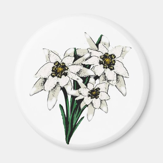 Aimant Fleurs Edelweiss (Devant)