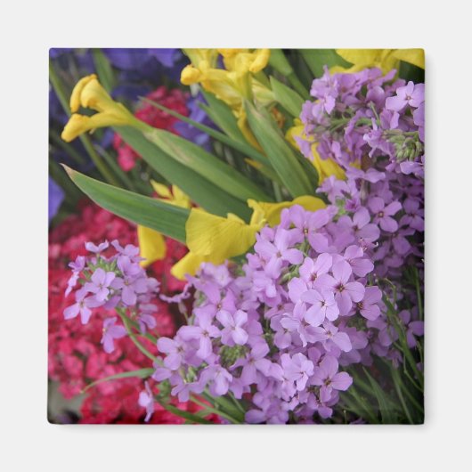 Aimant Fleurs en plusieurs couleurs (Devant)