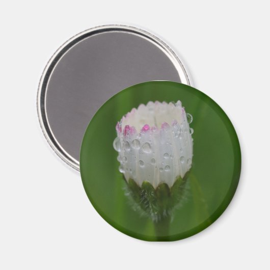 Aimant Fleurs et gouttes d'eau (Recto/Verso)