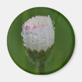 Aimant Fleurs et gouttes d'eau (Devant)