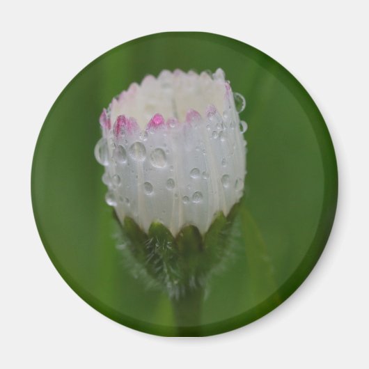 Aimant Fleurs et gouttes d'eau (Devant)