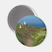 Aimant Fleurs et mouettes sur l'île d'Anacapa (Recto/Verso)