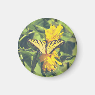 Aimant Fleurs et papillon jaunes