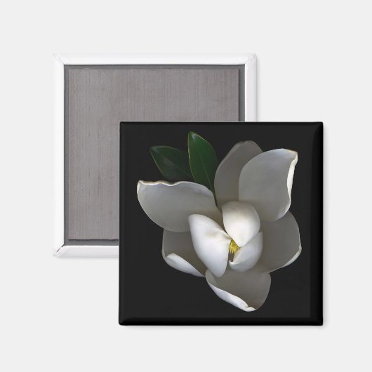 Aimant Fleurs | Fleur de Magnolia blanc unique (Recto/Verso)