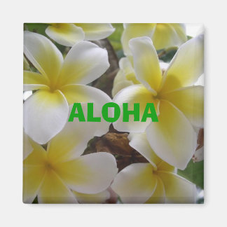 Aimant fleurs hawaïennes1, ALOHA