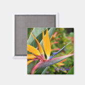 Aimant Fleurs Hawaiiennes Tropicales Oiseau Du Paradis Ka (Recto/Verso)