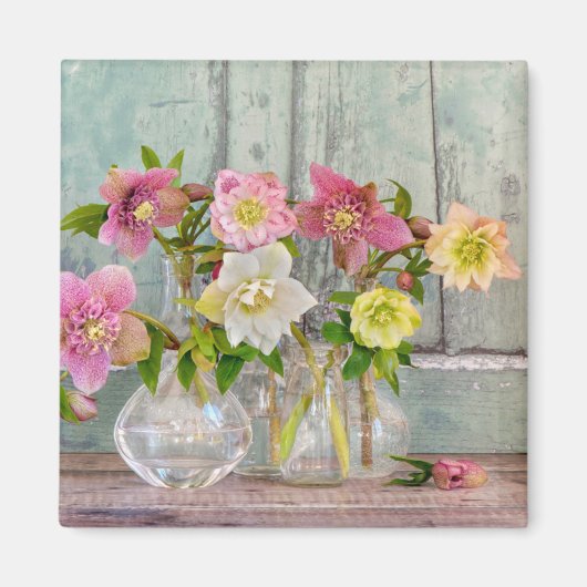 Aimant Fleurs | Hellebores dans Vases (Devant)