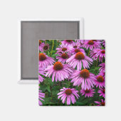 Aimant Fleurs | Jardin aux fleurs roses (Recto/Verso)
