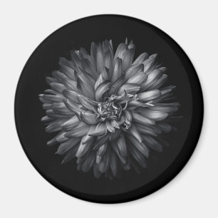Aimant Fleurs jardins En Noir Et Blanc 20