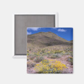 Aimant Fleurs jaunes dans la vallée de la Mort (Recto/Verso)