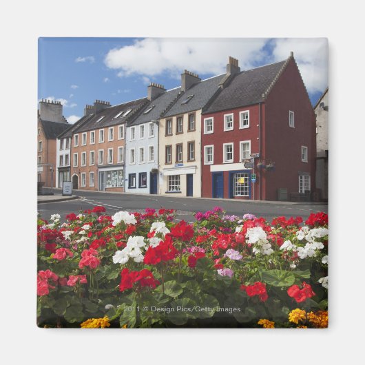 Aimant Fleurs Le Long D'Une Rue Dans Un Quartier Résident (Devant)