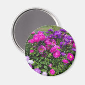 Aimant Fleurs Matsumoto (Recto/Verso)