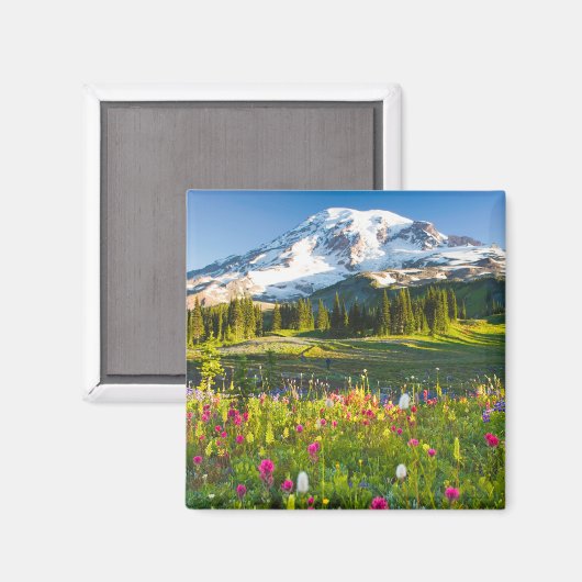 Aimant Fleurs | Mt. Rainier Fleurs sauvages (Recto/Verso)