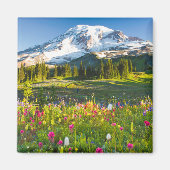 Aimant Fleurs | Mt. Rainier Fleurs sauvages (Devant)