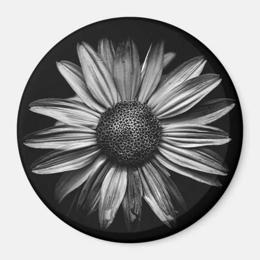 Aimant Fleurs Noires Et Blanches 18 (Devant)