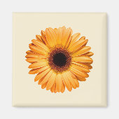 Aimant Fleurs | Orange Gerbera (Devant)