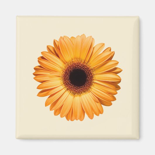 Aimant Fleurs | Orange Gerbera (Devant)