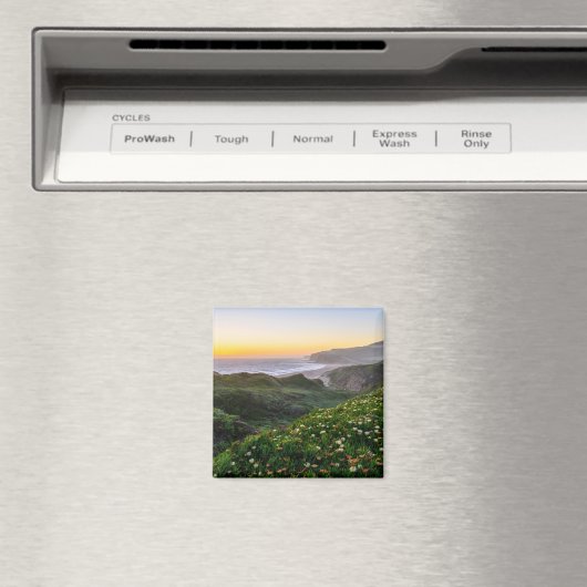 Aimant Fleurs | Père Noël Cruz Californie (In Situ (Lave-vaisselle))