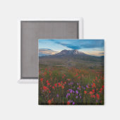 Aimant Fleurs | Pinceau indien & Penstemon (Recto/Verso)