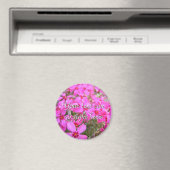 Aimant Fleurs Pink Phlox (In Situ (Lave-vaisselle))