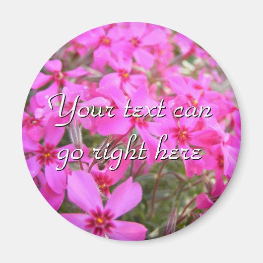 Aimant Fleurs Pink Phlox (Devant)