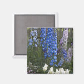 Aimant Fleurs printanières le long d'un chemin de jardin, (Recto/Verso)