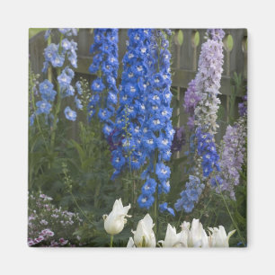 Aimant Fleurs printanières le long d'un chemin de jardin,