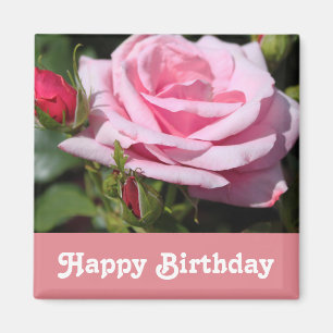 Aimant fleurs rose rose joyeux anniversaire. amour, petit