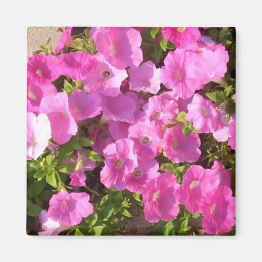 Aimant Fleurs roses (Devant)