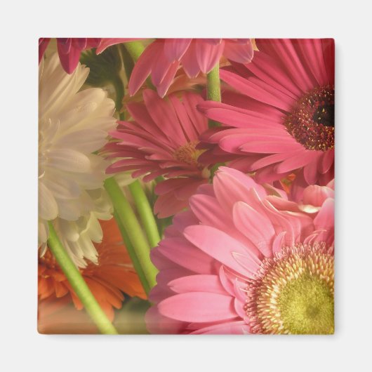 Aimant Fleurs roses (Devant)
