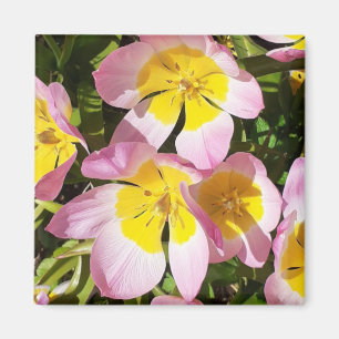 Aimant Fleurs roses et jaunes