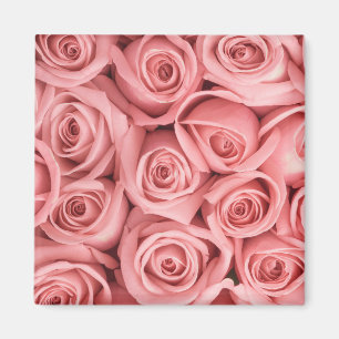 Aimant Fleurs Roses roses