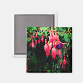 Aimant Fleurs rouges et violettes (Recto/Verso)