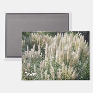 Aimant Fleurs sauvages du Texas