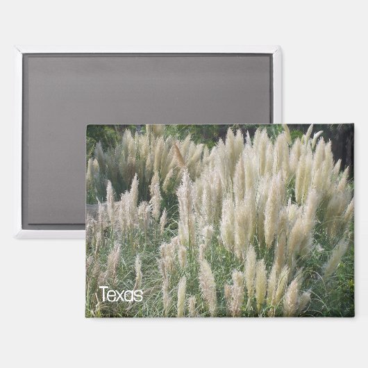 Aimant Fleurs sauvages du Texas (Recto/Verso)