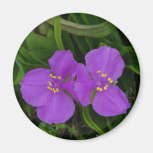 Aimant Fleurs sauvages Fuchsia Spiderwort Cadeaux de Hot