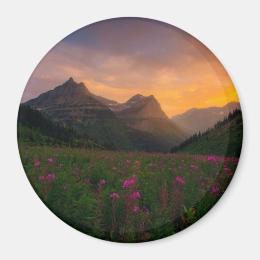 Aimant Fleurs sauvages glaciers (Devant)