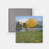 Aimant Fleurs sauvages le long du lac Swiftcurrent dans l (Recto/Verso)