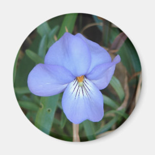 Aimant Fleurs sauvages Oiseaux-Pied Violet IV Cadeaux de