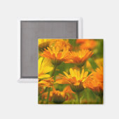 Aimant Fleurs sauvages orange (Recto/Verso)