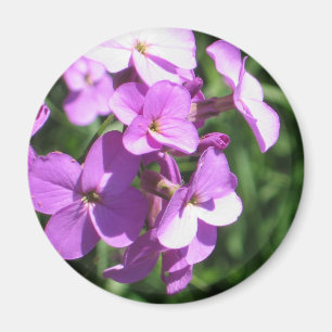 Aimant Fleurs sauvages pourpres