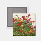 Aimant Fleurs sauvages sur terrain vert (Recto/Verso)