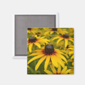 Aimant Fleurs Susan aux yeux noirs (Recto/Verso)