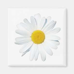 Aimant Fleurs Taille unique
