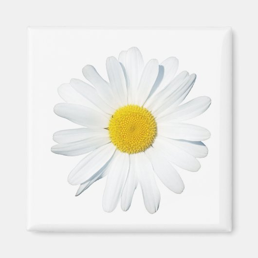 Aimant Fleurs | Taille unique (Devant)