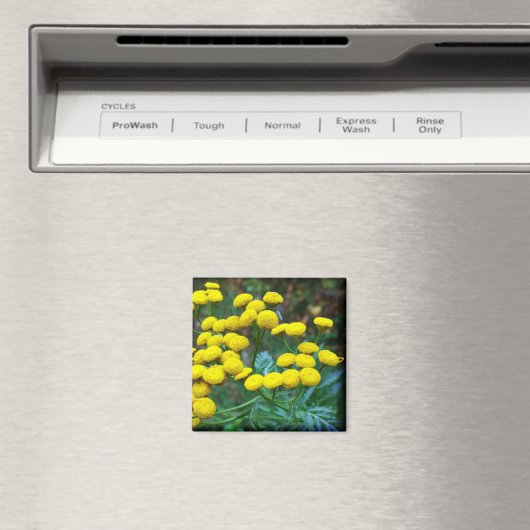 Aimant Fleurs Tansy (In Situ (Lave-vaisselle))
