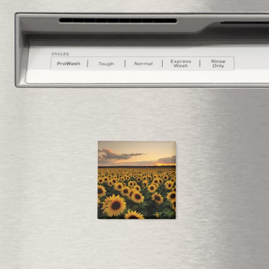 Aimant Fleurs | Terrain de tournesol (In Situ (Lave-vaisselle))